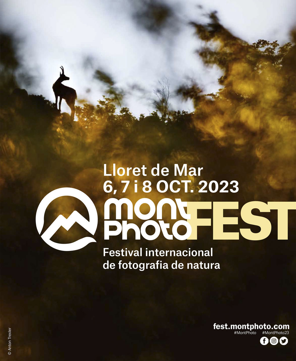 MONTPHOTO FEST 2023