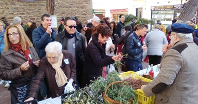   FERIA DE LOS SANTOS MÉDICOS